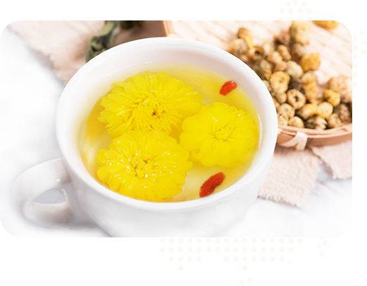 始建于2015年，實(shí)力雄厚