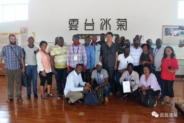 目測(cè)這朵菊花要火，國(guó)外專家為它頻頻而來······