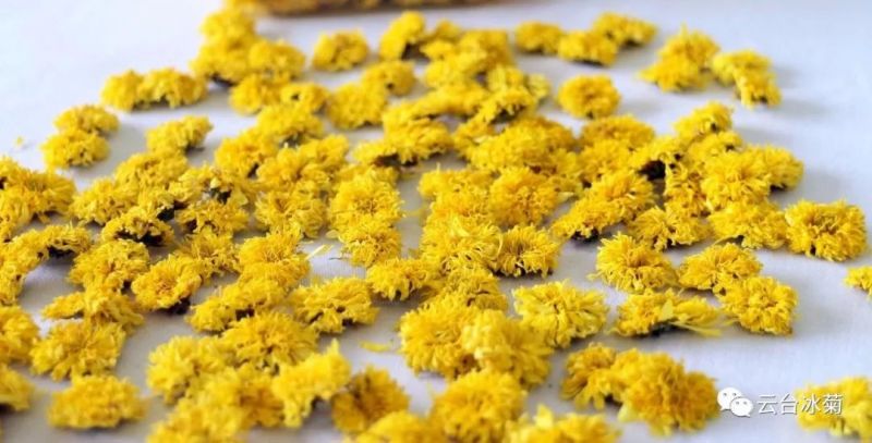 2018，種下希望，靜待花開！